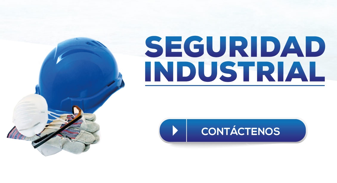 Seguridad Industrial y Riesgo